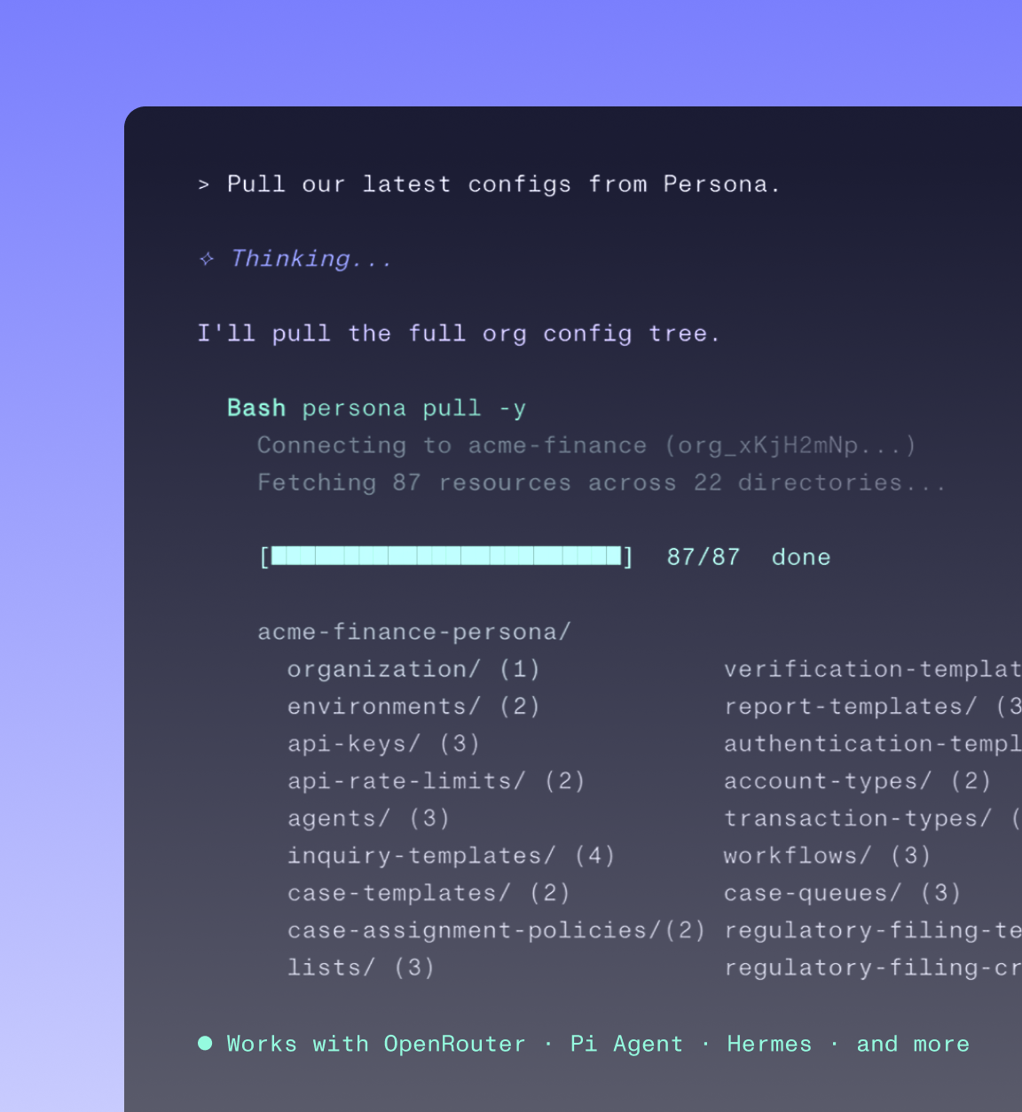 Persona CLI pulling an organization configuration