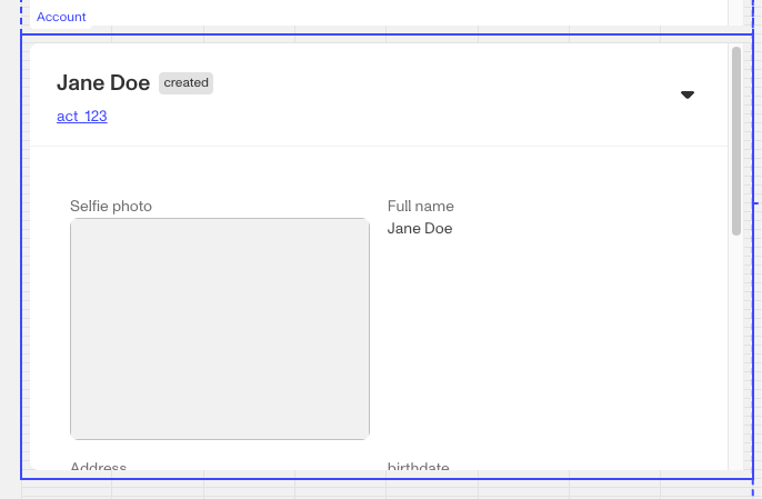 caseaccountcomponent