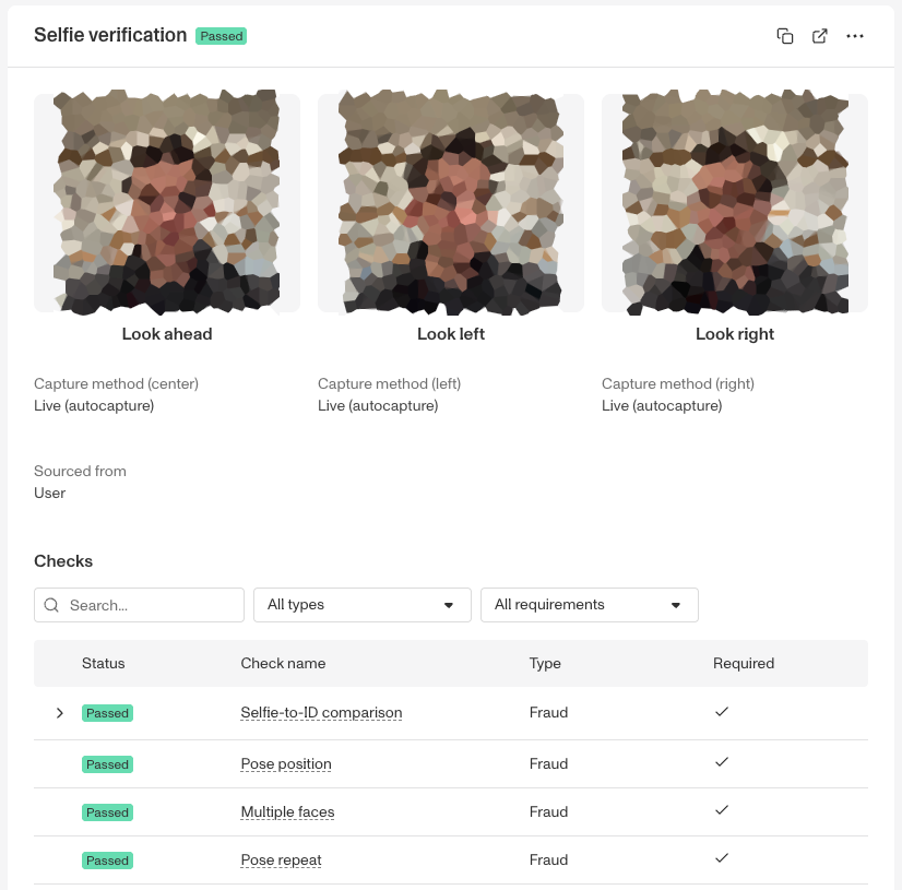 UpdatedSelfVerificationExampleBlurred
