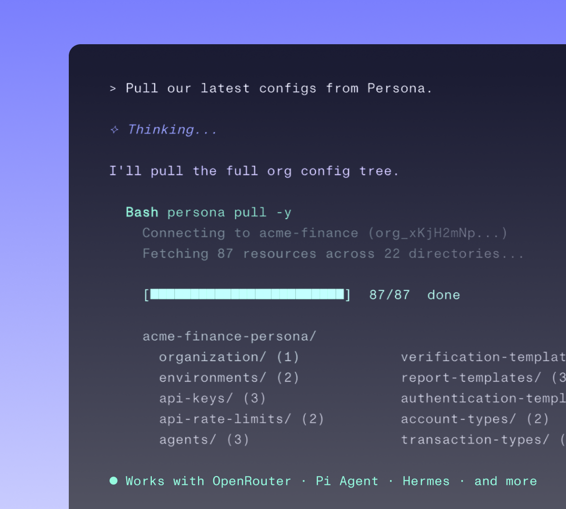 Persona CLI pulling an organization configuration