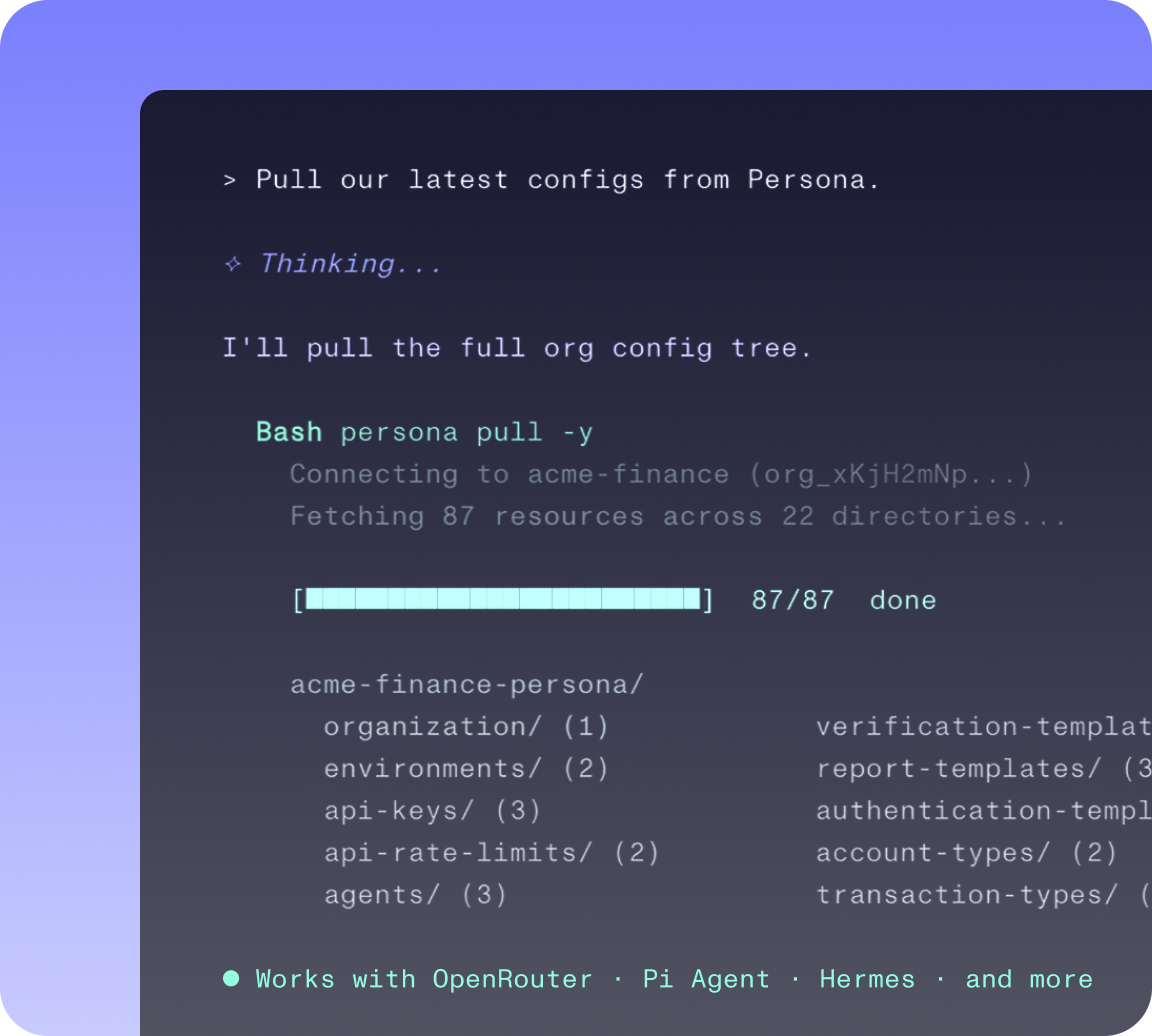 Persona CLI pulling an organization configuration